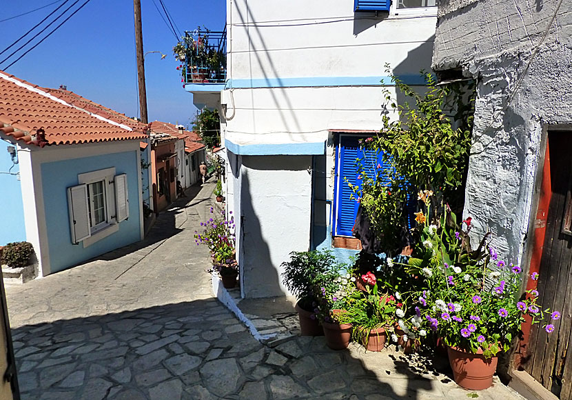 The narrow main street of Manolates on Samos in Greece.