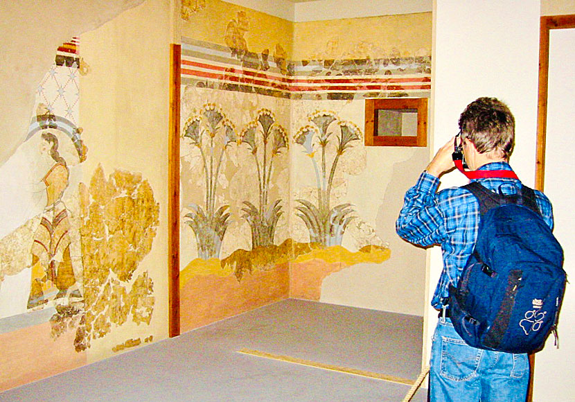 Wall paintings from Akrotiri can be seen in the Museum of Prehistoric Thira, located in Fira.