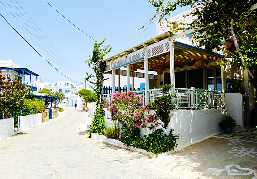 Taverna Kira Pothiti in Chora on Schinoussa.