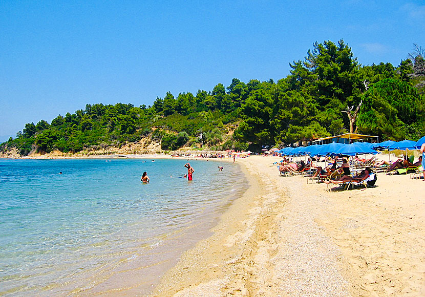 The best beaches in Skiathos. Agia Eleni beach.