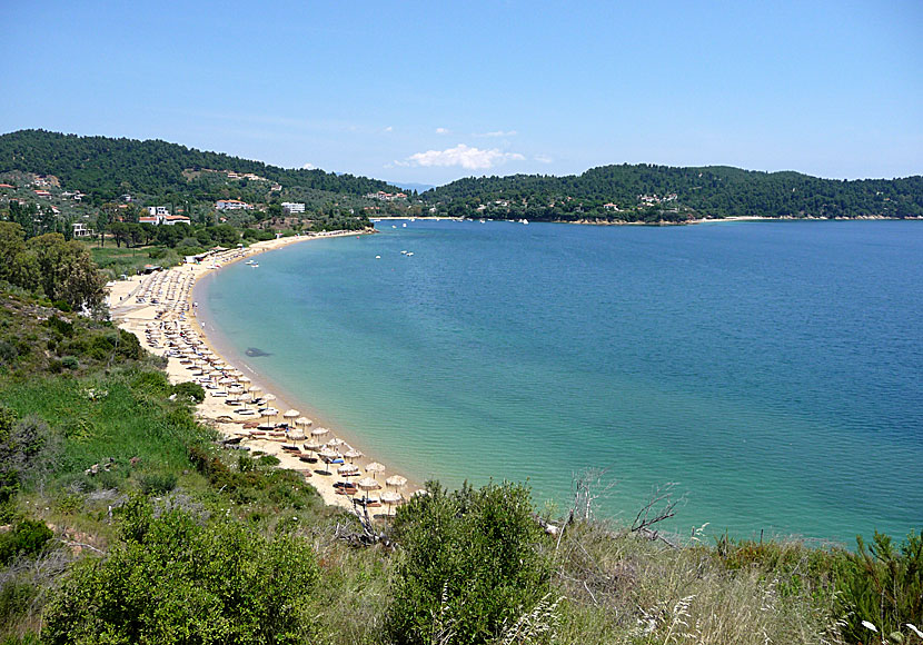 The best beaches in Skiathos. Agia Paraskevi beach.