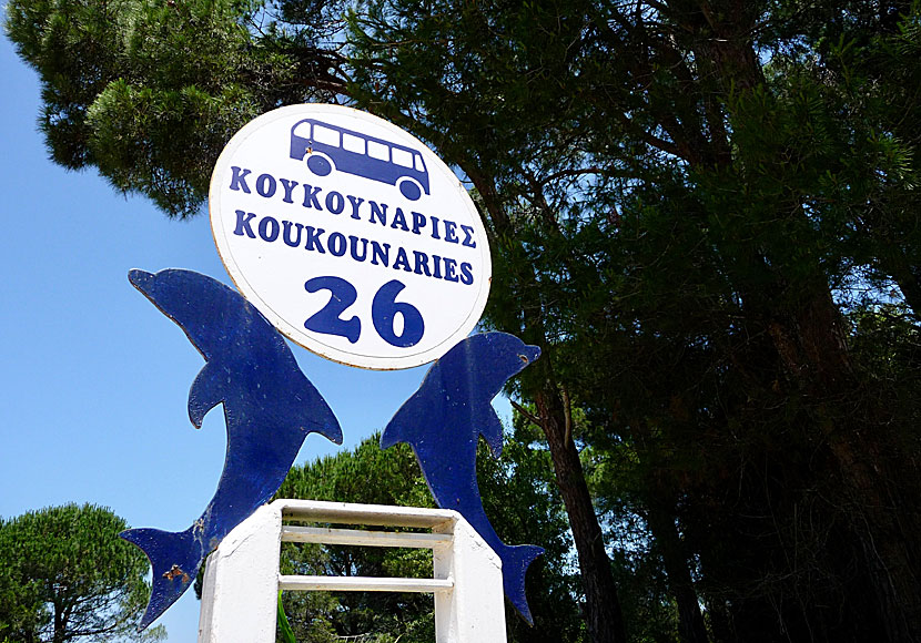 Koukounaries bus stop has number 26 and is the last stop on the bus journey from Skiathos town.