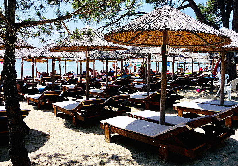 Rent sunbeds and parasols at the restaurants at Koukounaries beach.