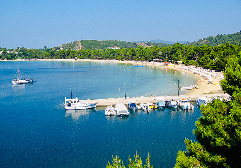 Koukounaries beach on Skiathos in Greece.