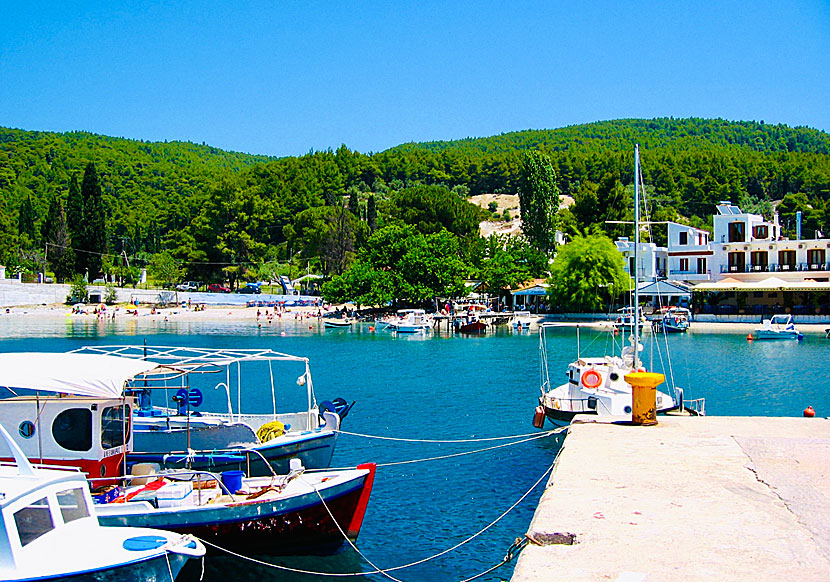 Agnontas is the most beautiful village on Skopelos.