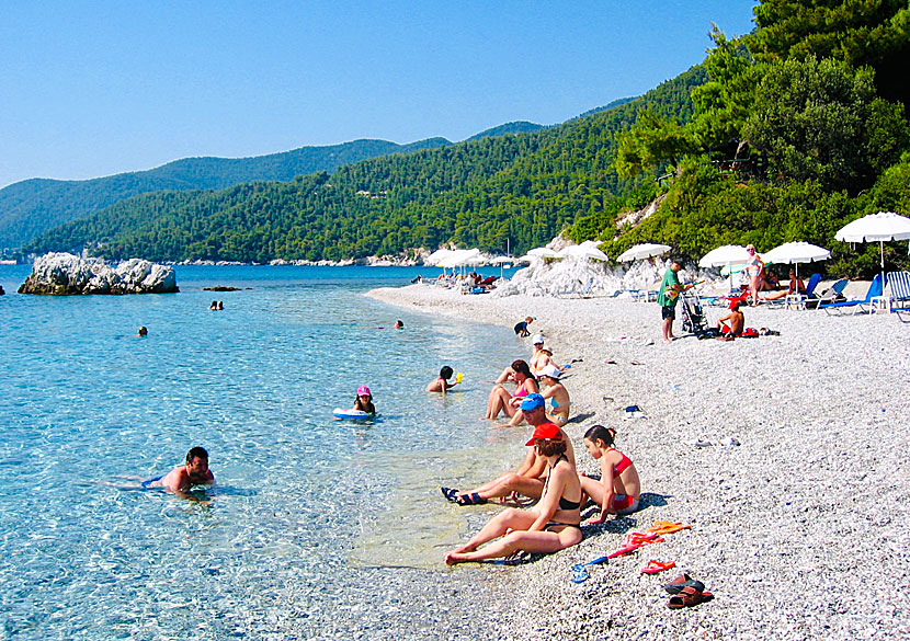 Milia beach is one of Skopelos' most child-friendly beaches.