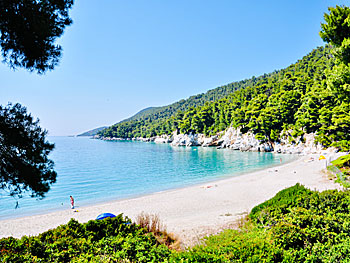 Kastani beach on Skopelos.