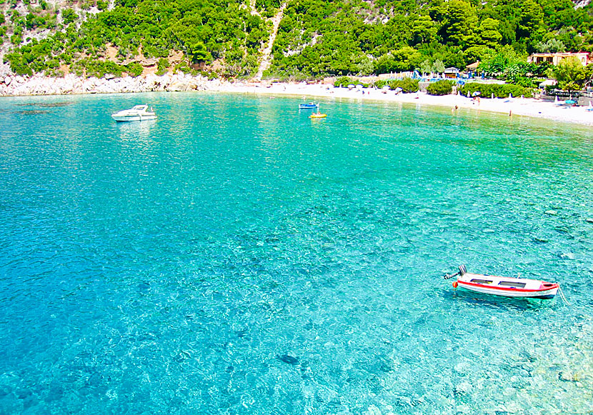 Don't miss Limnonari beach when you travel to Agnontas on Skopelos in Greece.