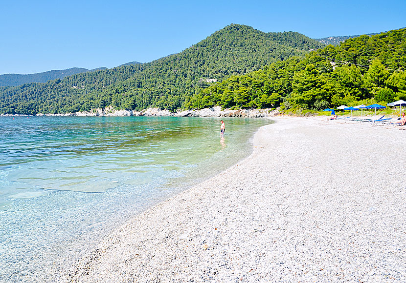 Milia beach is one of Skopelos' many incredibly beautiful beaches.