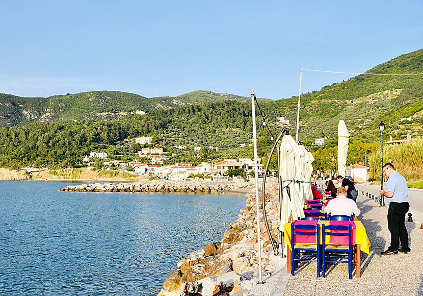 Sotiras Metamorphosis Monastery, Agia Varvara and the Timios Prodromos Nunnery are located above Skopelos Town.