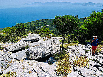 Sendoukia on Skopelos.
