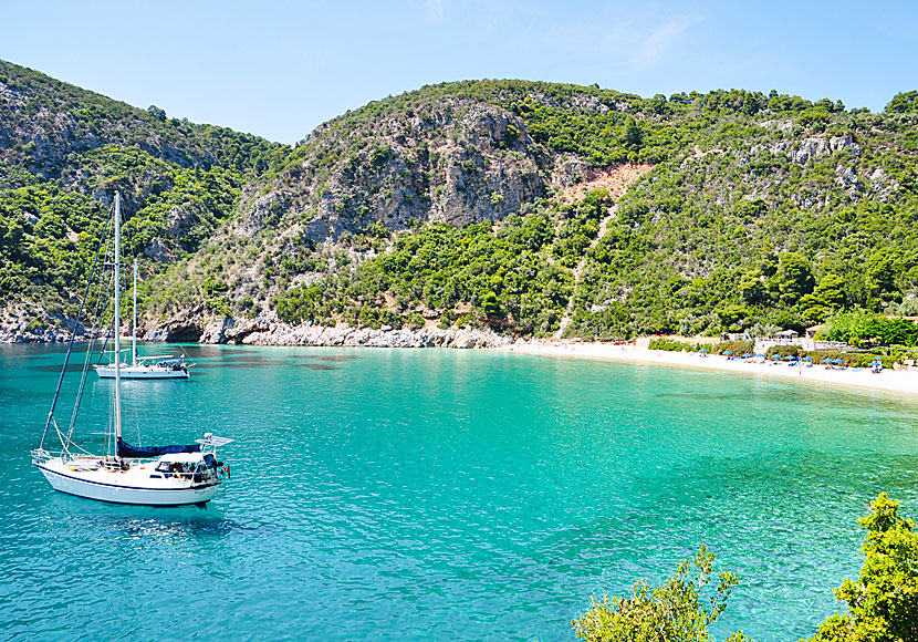 The best beaches on Skopelos. Limnonari beach.