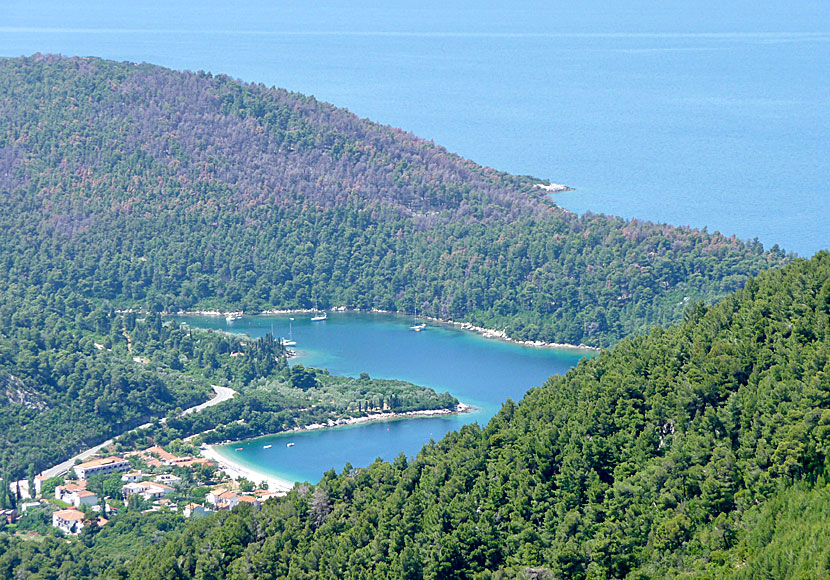 Panormos and Blo Bay on Skopelos in Greece.