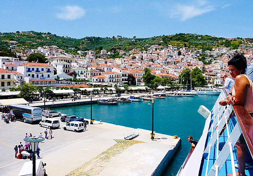The port in Skopelos town.