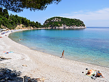 Stafilos beach on Skopelos.