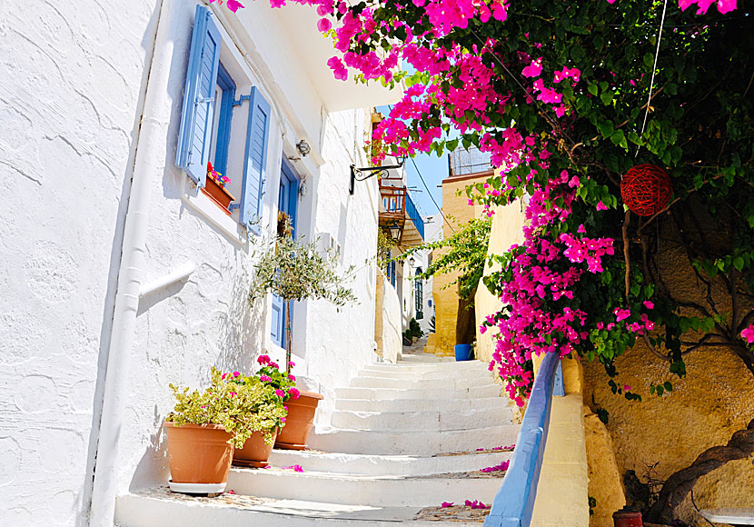 Ano Syros is an almost as photogenic village as Chora on Amorgos.