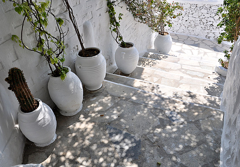 Ano Syros above Ermoupolis is one of the finest villages in Greece. .
