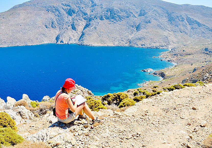 Bird watching in Tilos island.