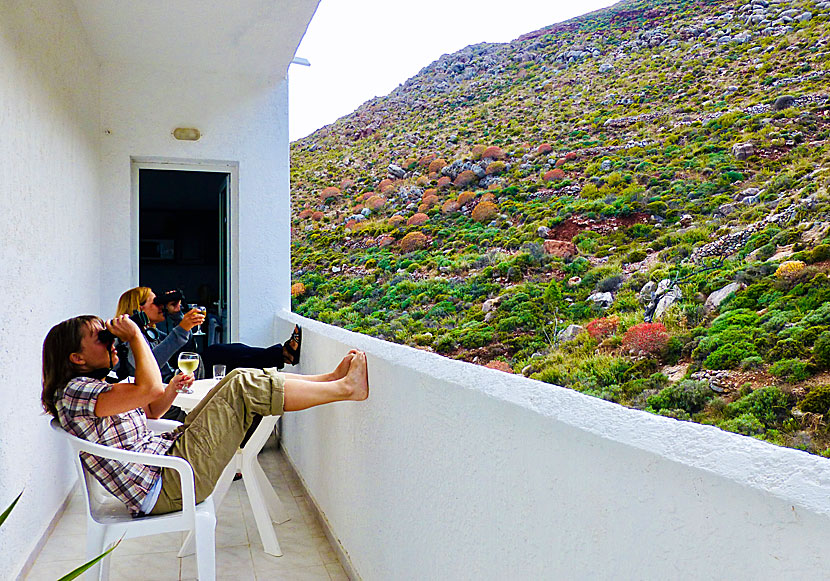 Watch birds with a glass of wine  from Annas Studios in Tilos.