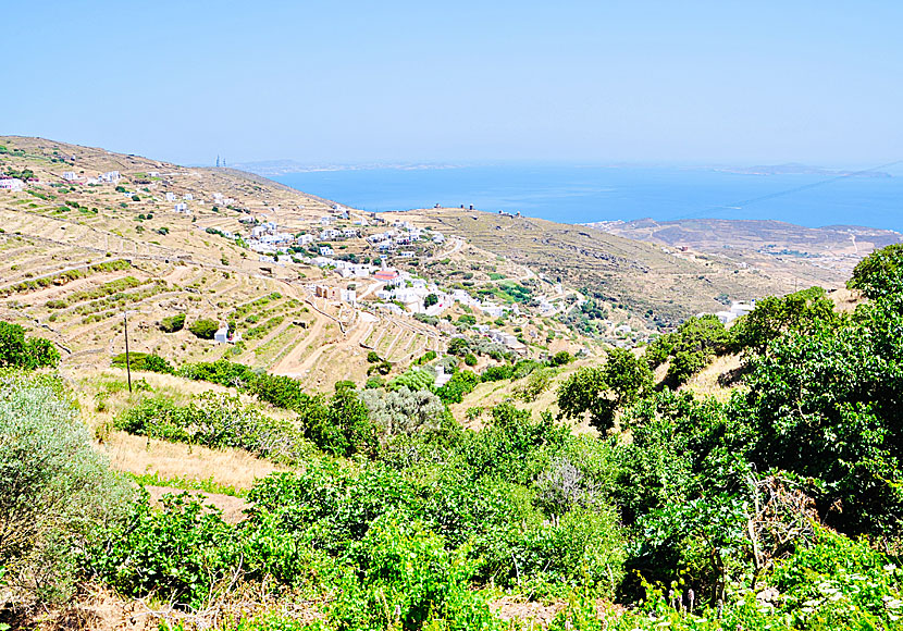 Popular hiking trails on Tinos.