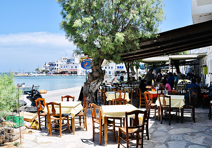 There are many restaurants serving very good Greek food in Panormos.