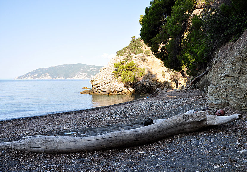Anywhere i lay my head with Tom Waits at Vythisma beach on Alonissos in Greece.