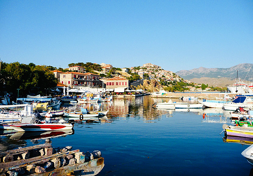 Molyvos in Lesvos is one of the most beautiful villages in the Greek archipelago.