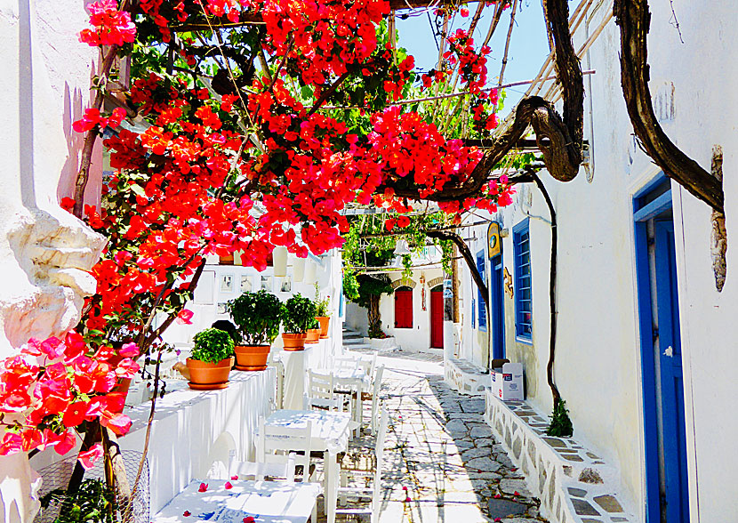 Chora on Amorgos is one of the finest villages in the Cyclades and the entire Greek archipelago.
