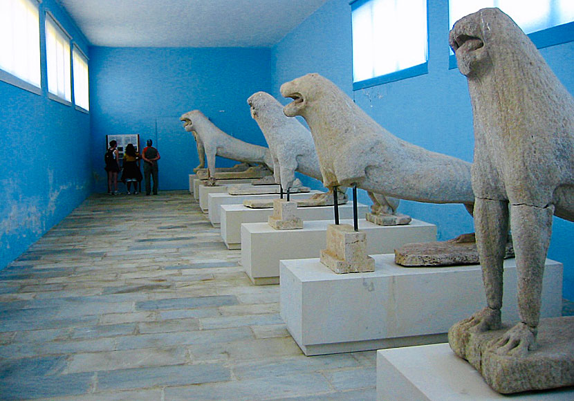 Lions in Delos museum.