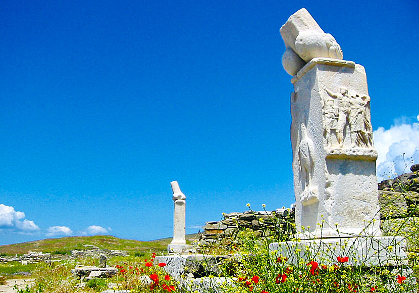On the island of Delos in Greece there are many phallus statues.
