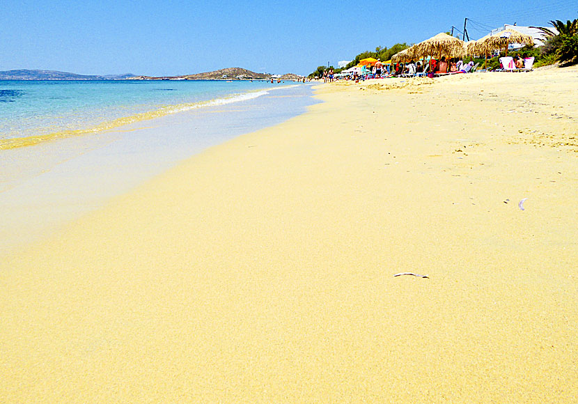 Plaka beach in Naxos, is one of Greece best beaches.