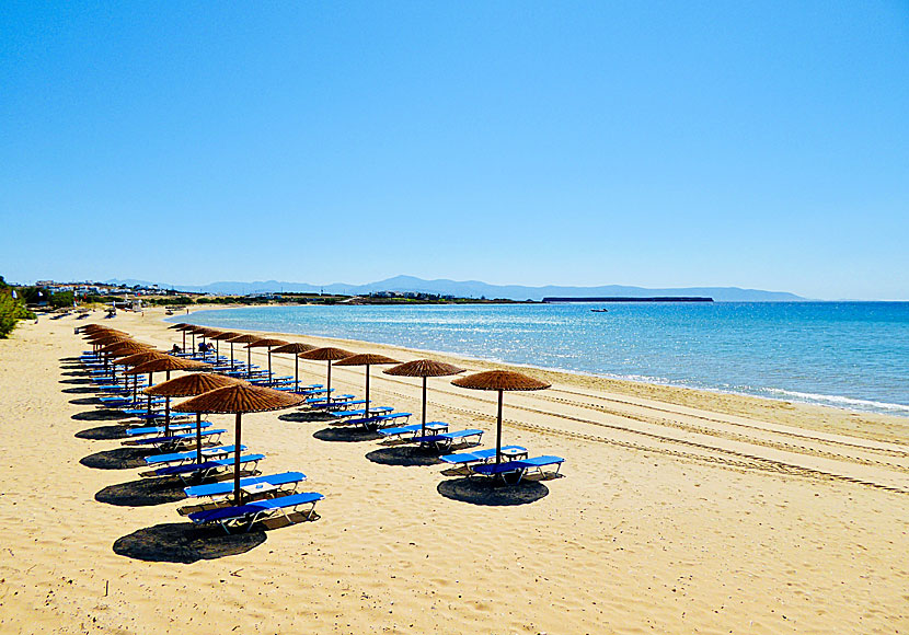 Golden beach in Paros.