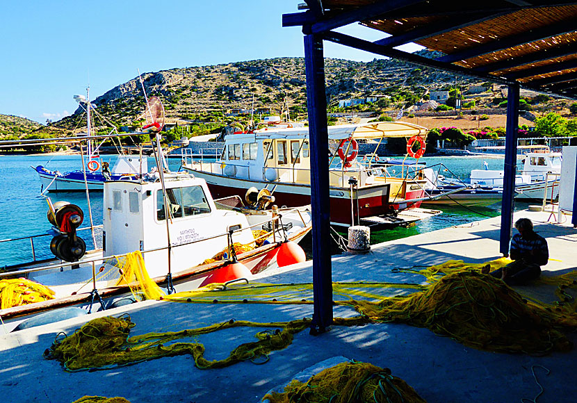 
In the port of Schinoussa in the Small Cyclades there is a beach, several tavernas and restaurants. 