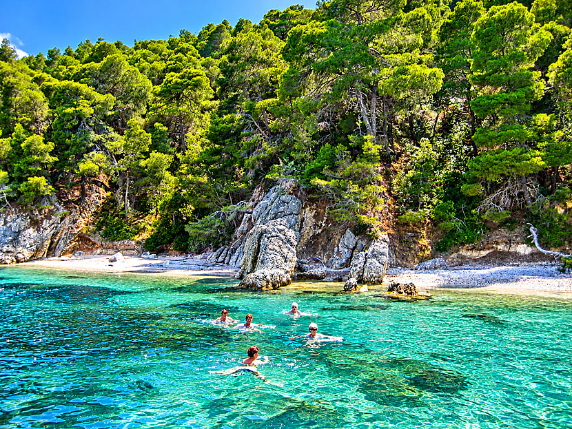 On Kalamos, pine trees grow right down to the sea, which is perfect for anyone who enjoys snorkeling.