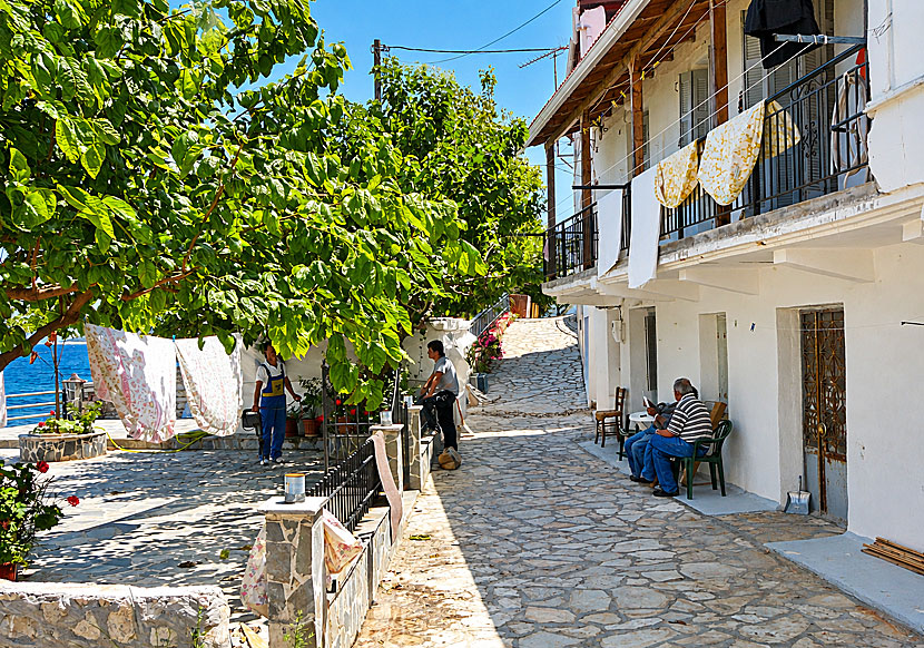 Everyday Greek life dominates on Kalamos.