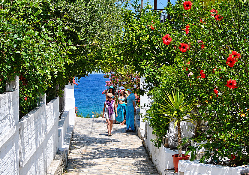 The small, cozy village of Kalamos on the pleasant island of Kalamos.