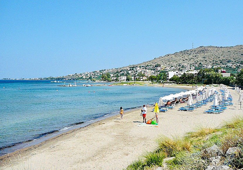 Marathonas beach between Aegina town and Perdika.