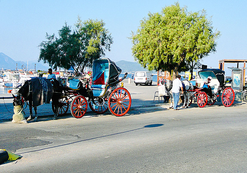 Rent a car and moped on the island of Aegina near Athens. You can also rent a horse-drawn carriage.
