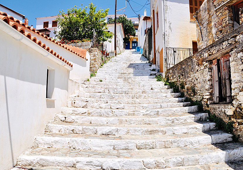 Glossa is Skopelos second largest village with good tavernas and restaurants. 