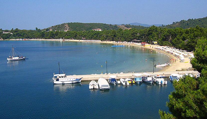 Skiathos in Greece.  Koukounaries beach.