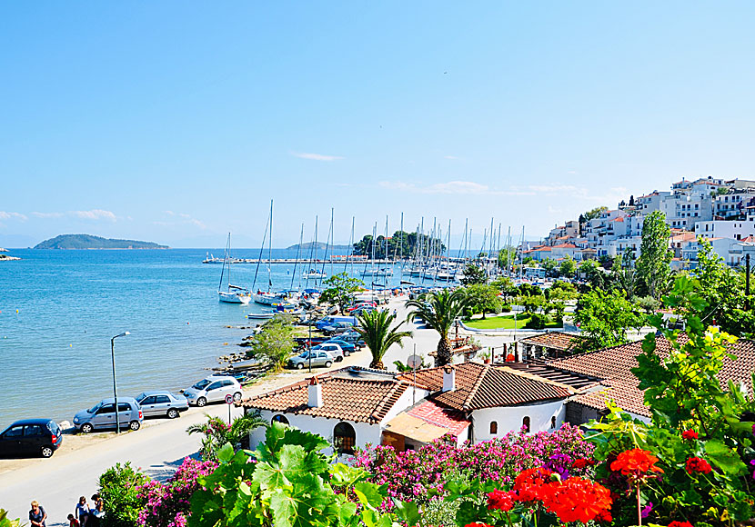 The port and marina in beautiful Skiathos town.