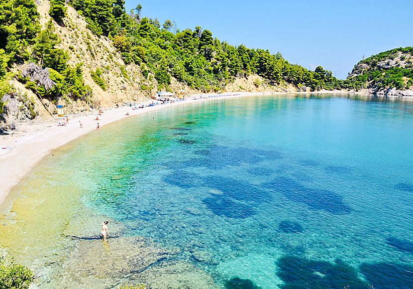 Stafilos beach is the beach closest to Skopelos town.