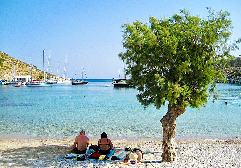 There is little shade, a few tamarisks are the only thing on offer in Agathonissi.
