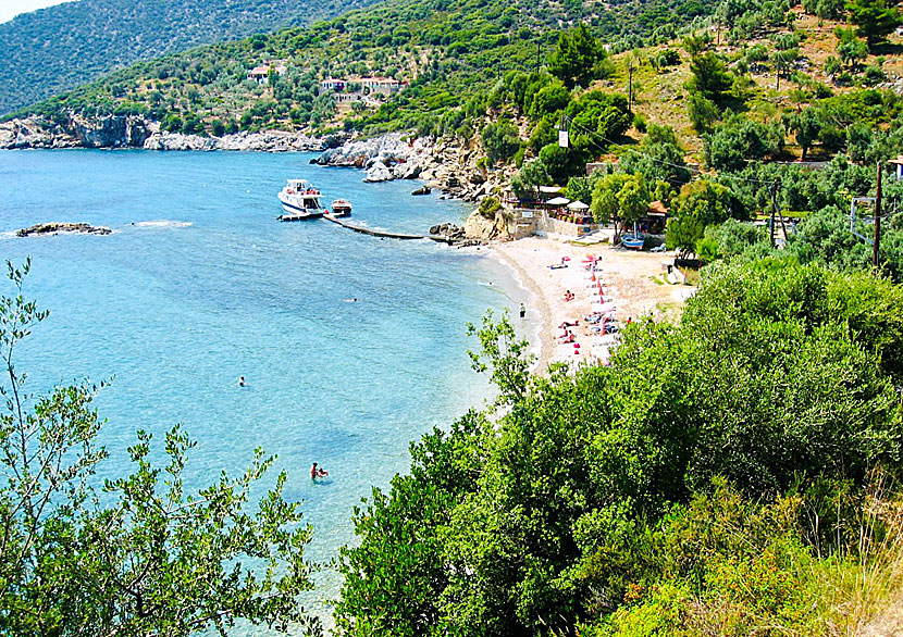 Don't miss Megalos Mourtias beach when you travel to Chora on Alonissos.