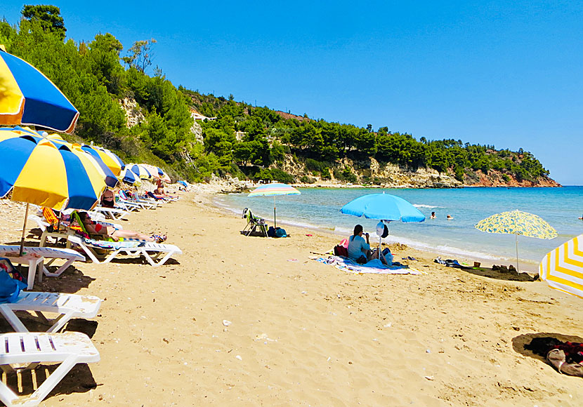 Chrisi Milia beach at Alonissos in Greece.