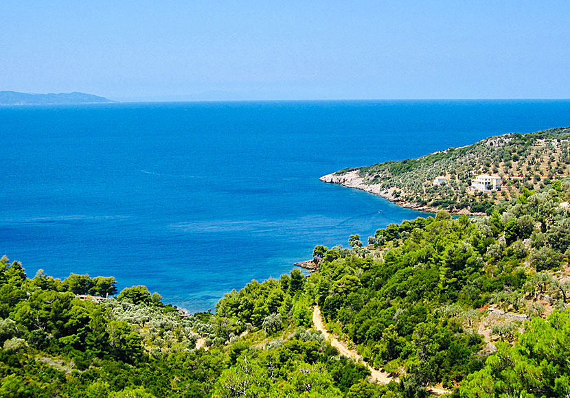 The road to Megali Ammos beach on Alonissos goes through an incredibly beautiful landscape.