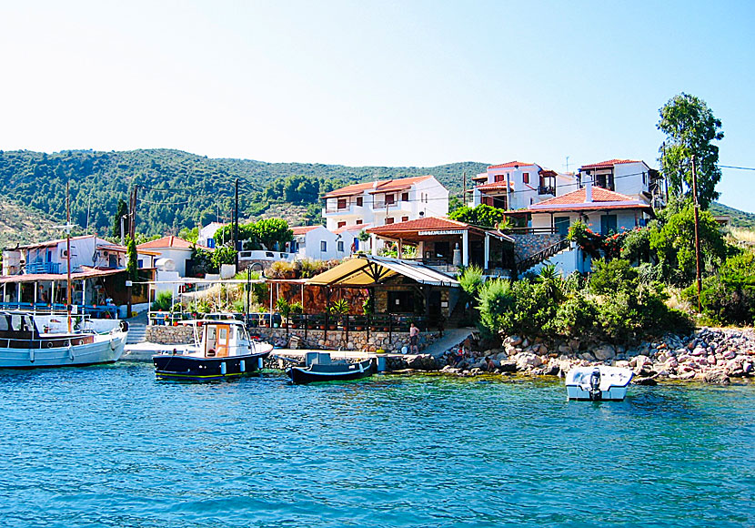 Restaurant To Fanari in Steni Vala on Alonissos.