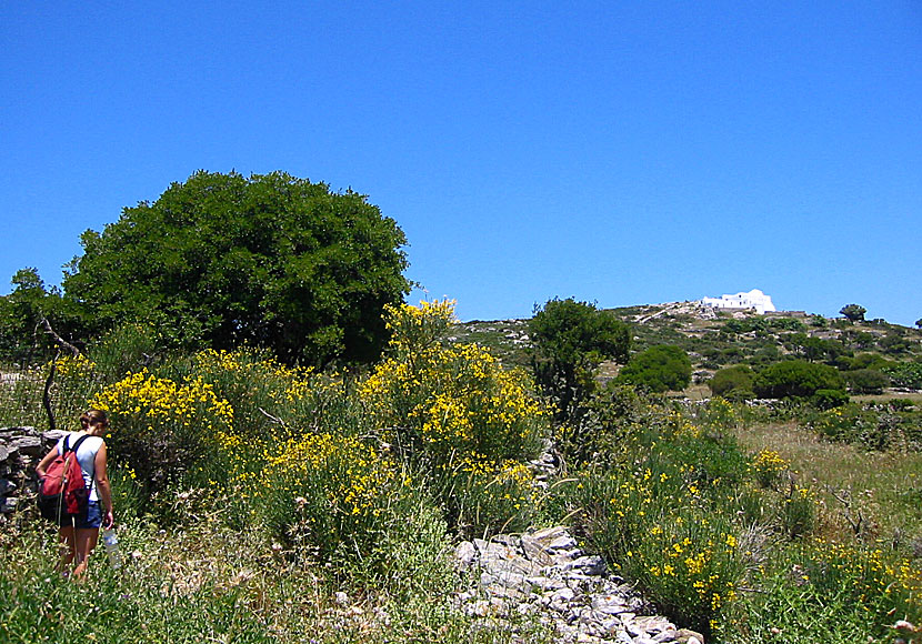 Don't miss the hike to Agios Theologos, 