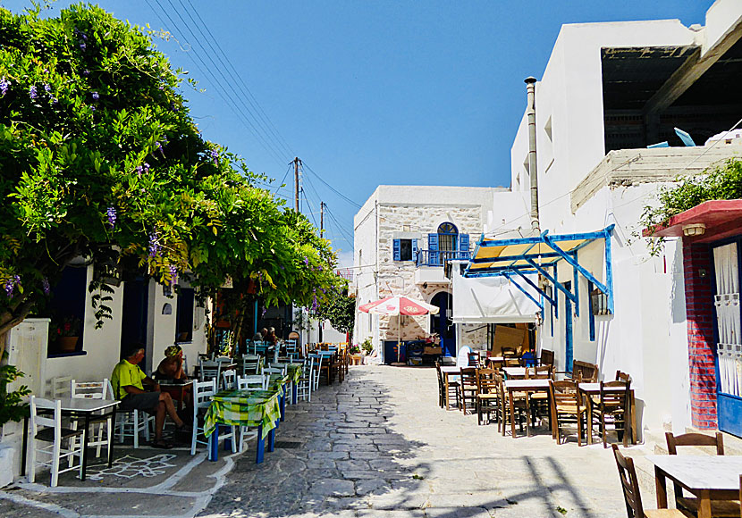 Taverna Loza in Langada on Amorgos in Greece.
