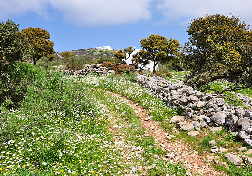 Hiking between Langada and Agios Theologos in Amorgos.